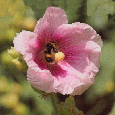 Rolling in Nectar by Helen White